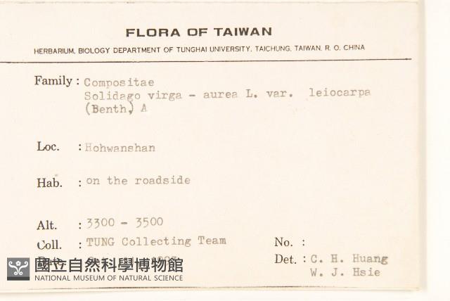 一枝黃花藏品圖，第2張