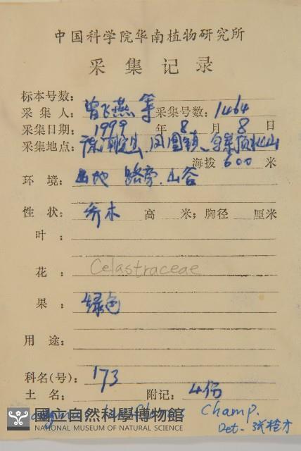 大丁黃藏品圖，第2張
