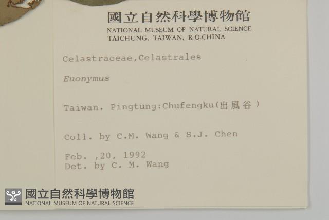 登錄號:S007155藏品圖，第2張