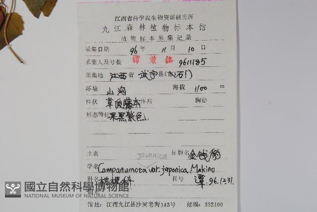 金錢豹藏品圖，第2張