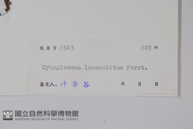 小花倒提壺藏品圖，第2張