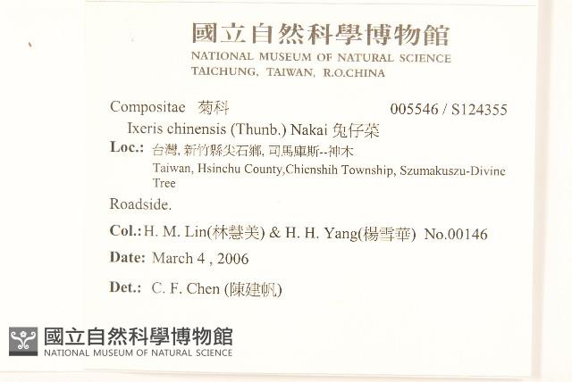 兔仔菜藏品圖，第2張