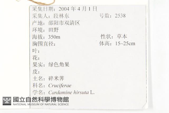 碎米薺藏品圖，第2張