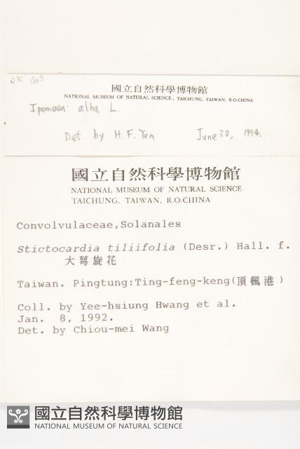 天茄兒藏品圖，第2張