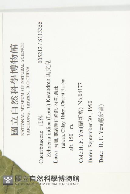 馬交兒藏品圖，第2張