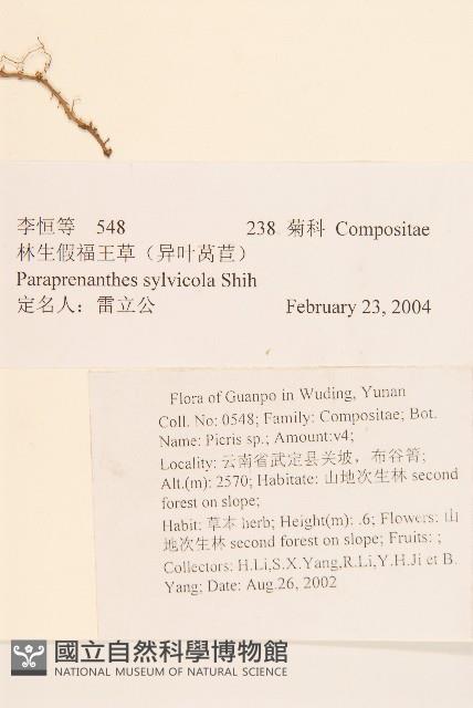 林生假福王草藏品圖，第2張