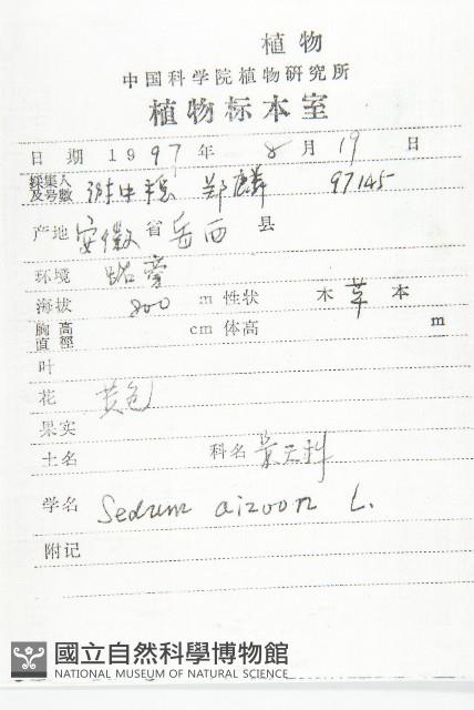 費菜藏品圖，第2張