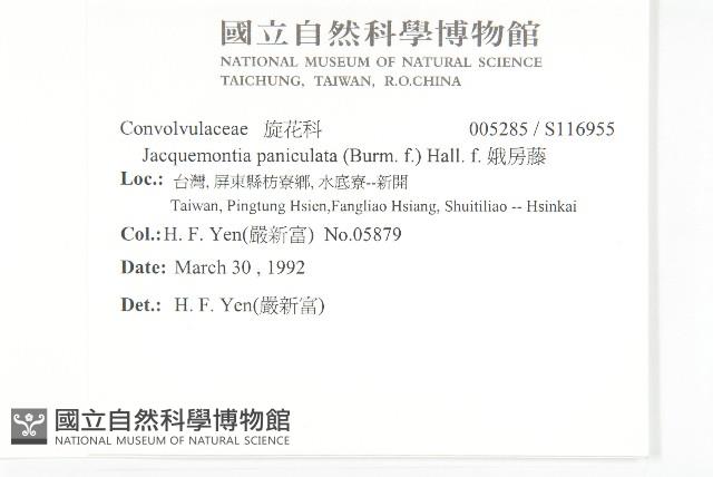 娥房藤藏品圖，第2張