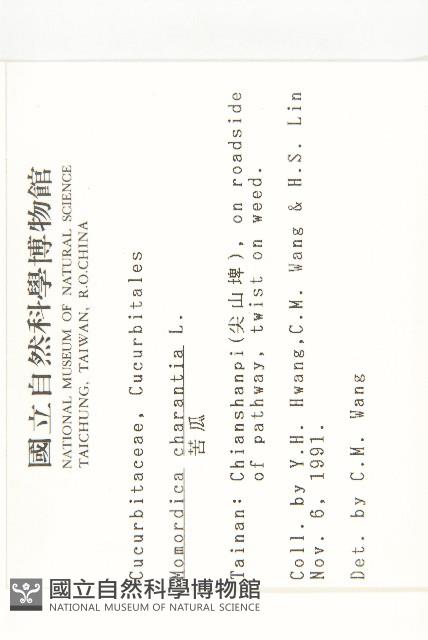 苦瓜藏品圖，第2張