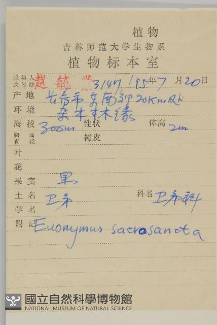 衛矛藏品圖，第2張