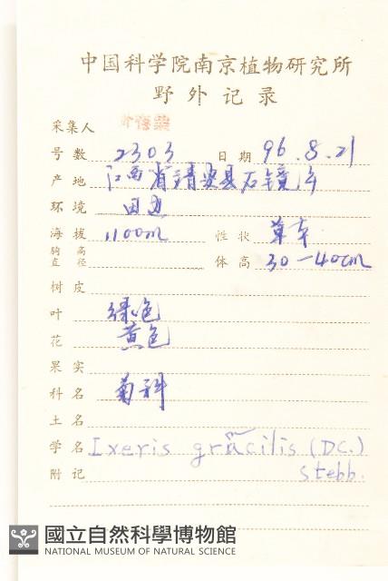 細葉苦實藏品圖，第2張