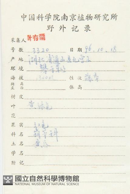 王瓜藏品圖，第2張