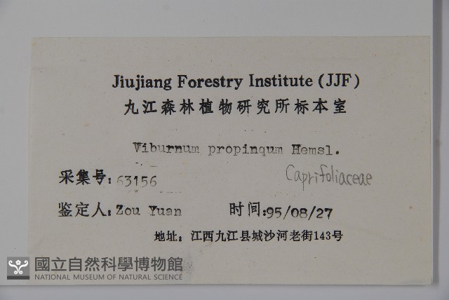 高山莢迷藏品圖，第2張