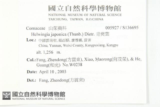 青莢葉藏品圖，第2張