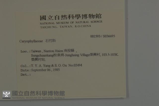 登錄號:S036695藏品圖，第2張