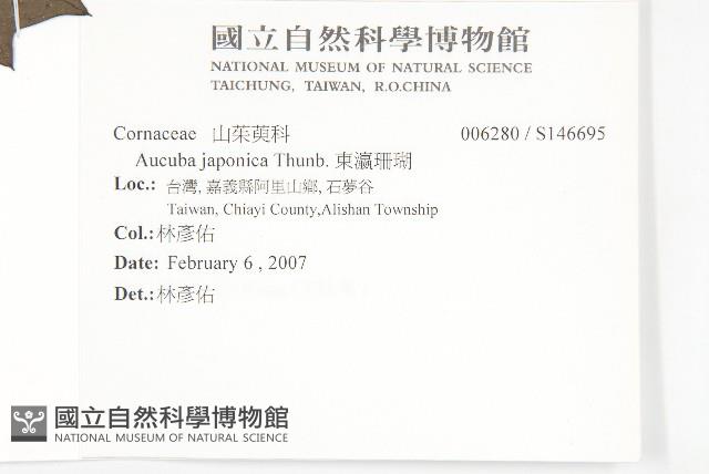 東瀛珊瑚藏品圖，第2張