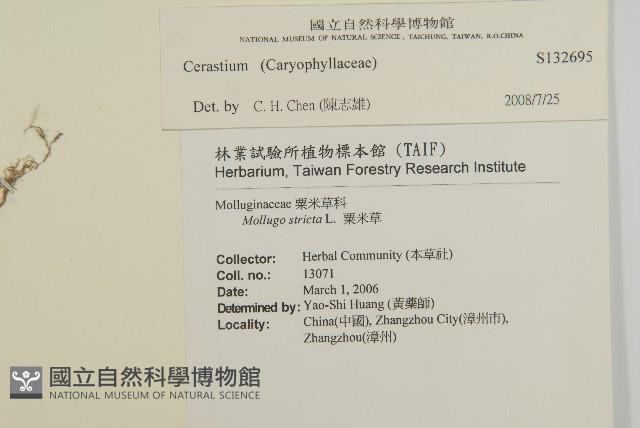 登錄號:S132695藏品圖，第2張