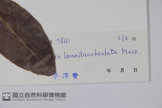 蕊木藏品圖，第2張