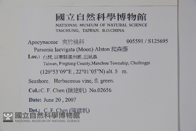 爬森藤藏品圖，第2張