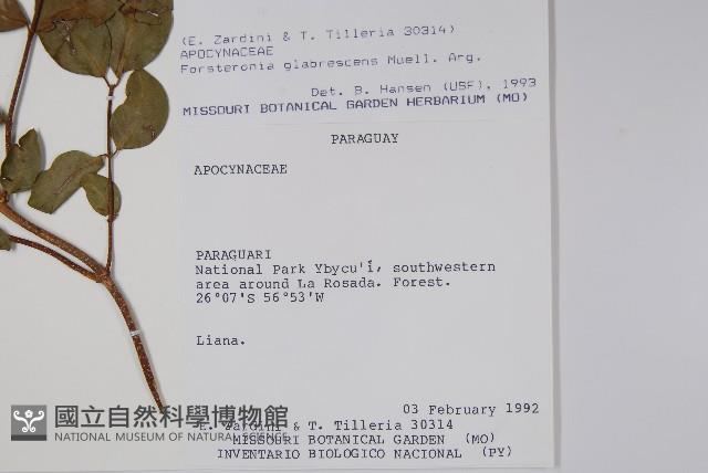 登錄號:S054695藏品圖，第2張