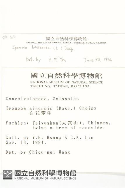 碗仔花藏品圖，第2張