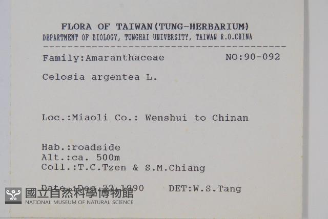 青葙藏品圖，第2張