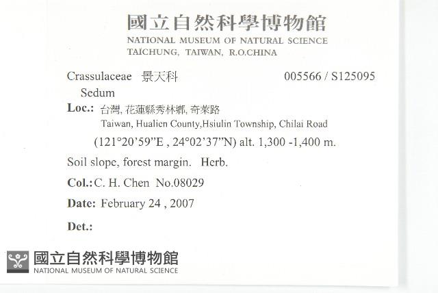 登錄號:S125095藏品圖，第2張