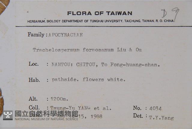 臺灣絡石藏品圖，第2張