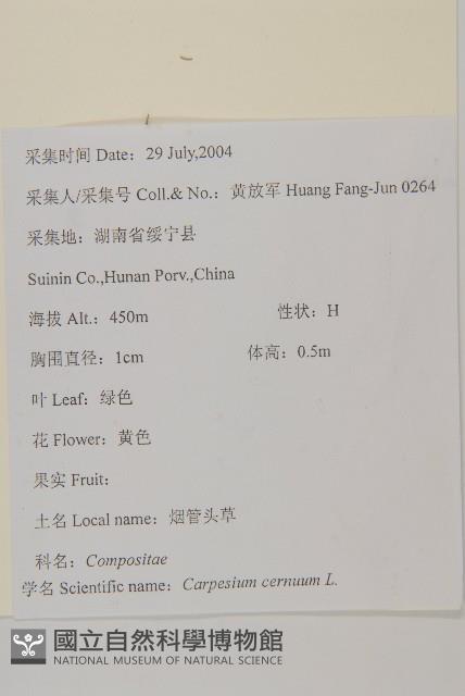 杓兒菜藏品圖，第2張