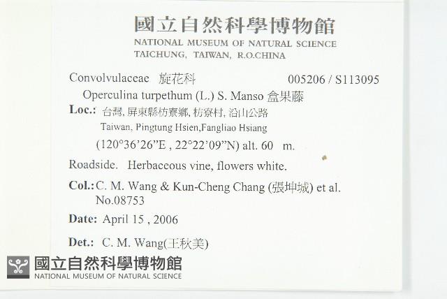 盒果藤藏品圖，第2張