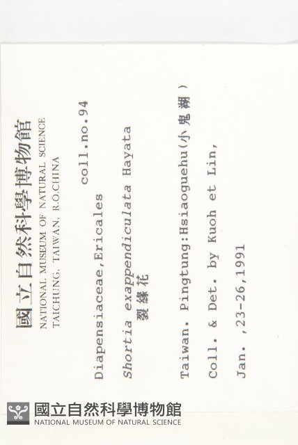 裂緣花藏品圖，第2張