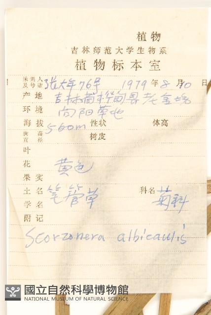 芼管草藏品圖，第2張