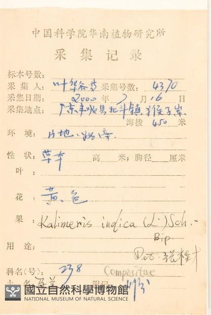 雞兒腸藏品圖，第2張