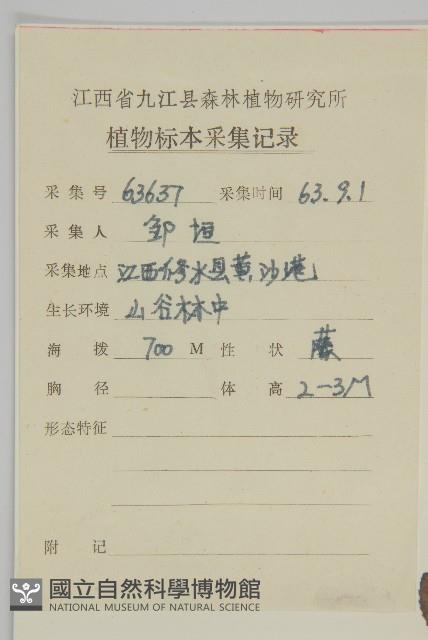 扶芳藤藏品圖，第2張