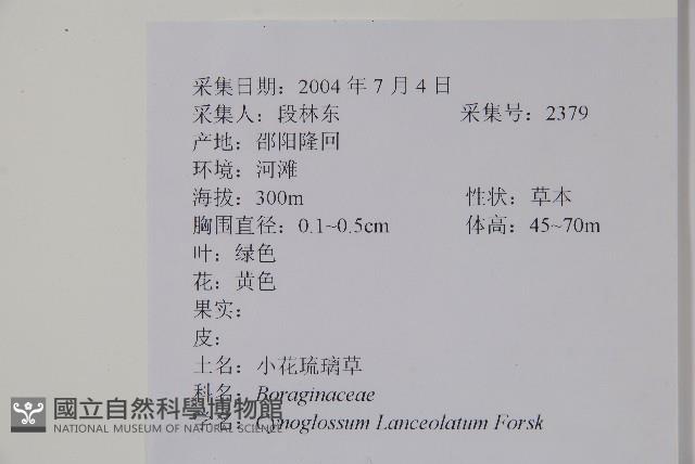 小花倒提壺藏品圖，第2張