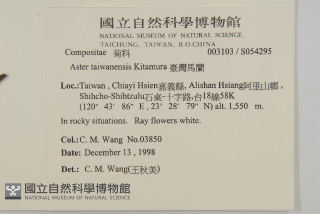 臺灣馬蘭藏品圖，第2張