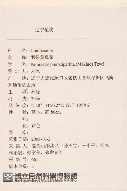 羽裂黃瓜菜藏品圖，第2張