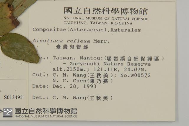 臺灣鬼督郵藏品圖，第2張