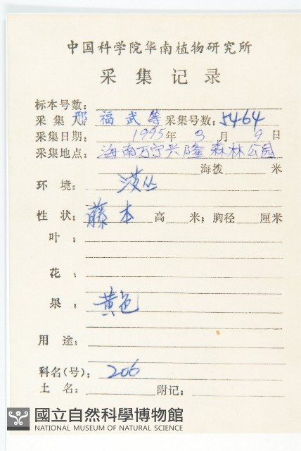 紅葉藤藏品圖，第2張