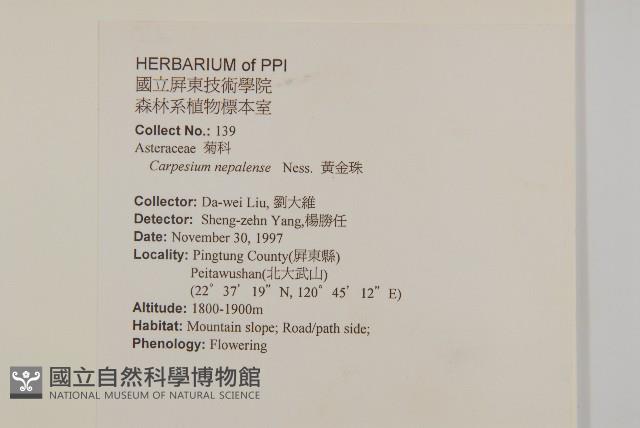 黃金珠藏品圖，第2張