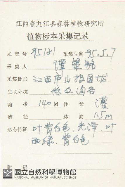 木半夏藏品圖，第2張