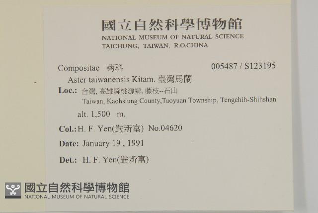 臺灣馬蘭藏品圖，第2張