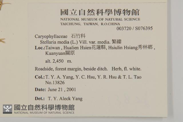 繁縷藏品圖，第2張