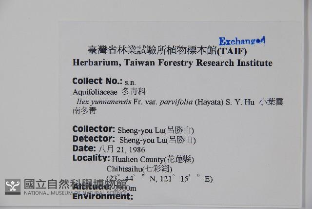 雲南冬青藏品圖，第2張