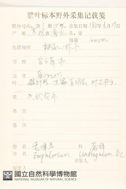 林氏澤蘭藏品圖，第2張