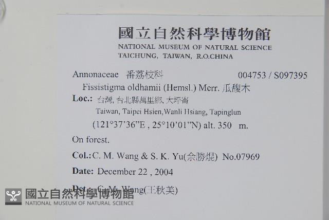 瓜馥木藏品圖，第2張