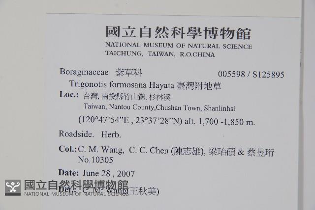 臺灣附地草藏品圖，第2張