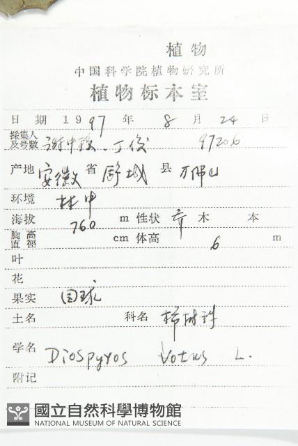 Date Plum Collection Image, Figure 2, Total 2 Figures