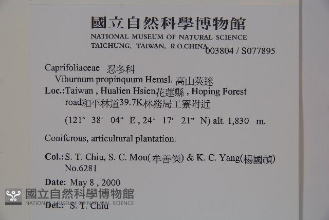 高山莢迷藏品圖，第2張