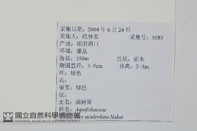 鼠李冬青、滿樹星藏品圖，第2張